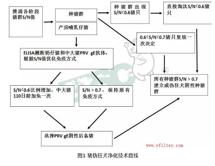 規模豬場如何凈化控制疫??？空氣過濾系統如何阻擋藍耳病毒株呢？